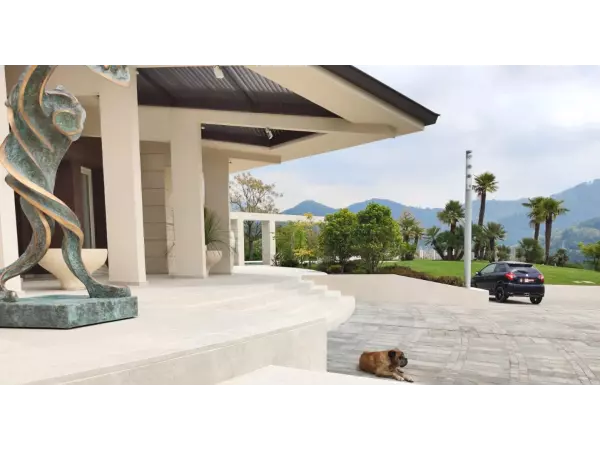 jasna płytka inspiracje