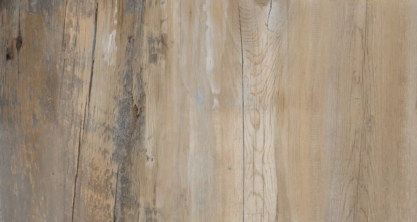 drewnopodobna płytka w kolorze dębowym 1442 1