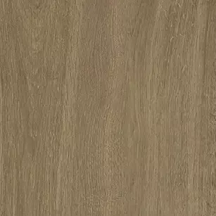 długie płytki drewnopodobne 307