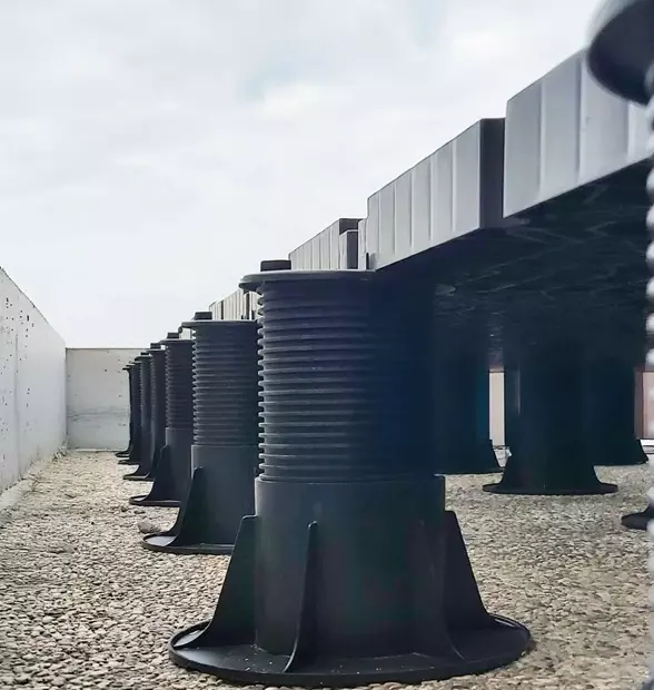 leaf plat Tarcon Tarasy