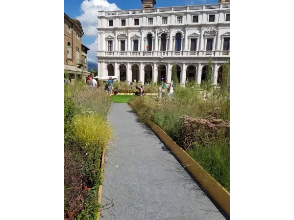 Zielony taras ekologiczny z funkcją retencji wody