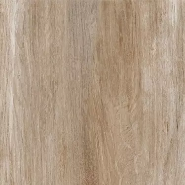 płytka o jasnym odcieniu drewna